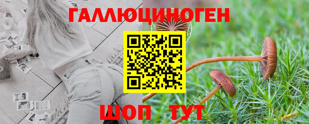 Владикавказ  Псилоцибиновые грибы мицелий  Вход с VPN 